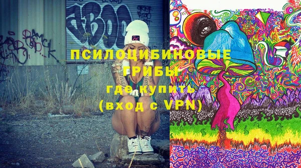прущая мука Абаза